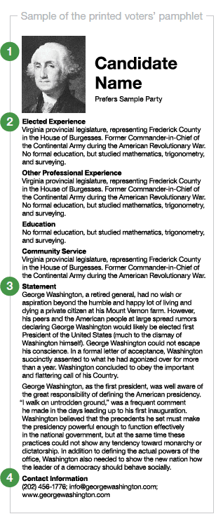 voter pamphlet sample