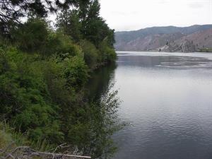 Open space with a body of water, mountains and trees