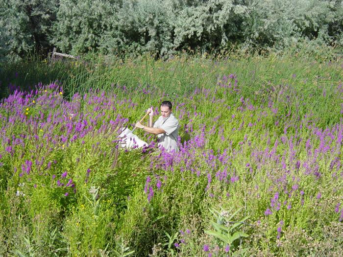 Gale Rucella Collecting for Jameson Lake